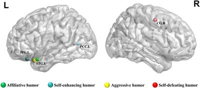 White-Matter Structural Connectivity in Relation to Humor Styles: An Exploratory Study